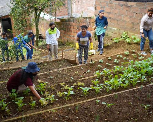 FotografoFoto Alcaldía de Medellín:La Alcaldía de Medellín abre convocatoria para que jóvenes creen y cultiven sus huertas comunitarias. 